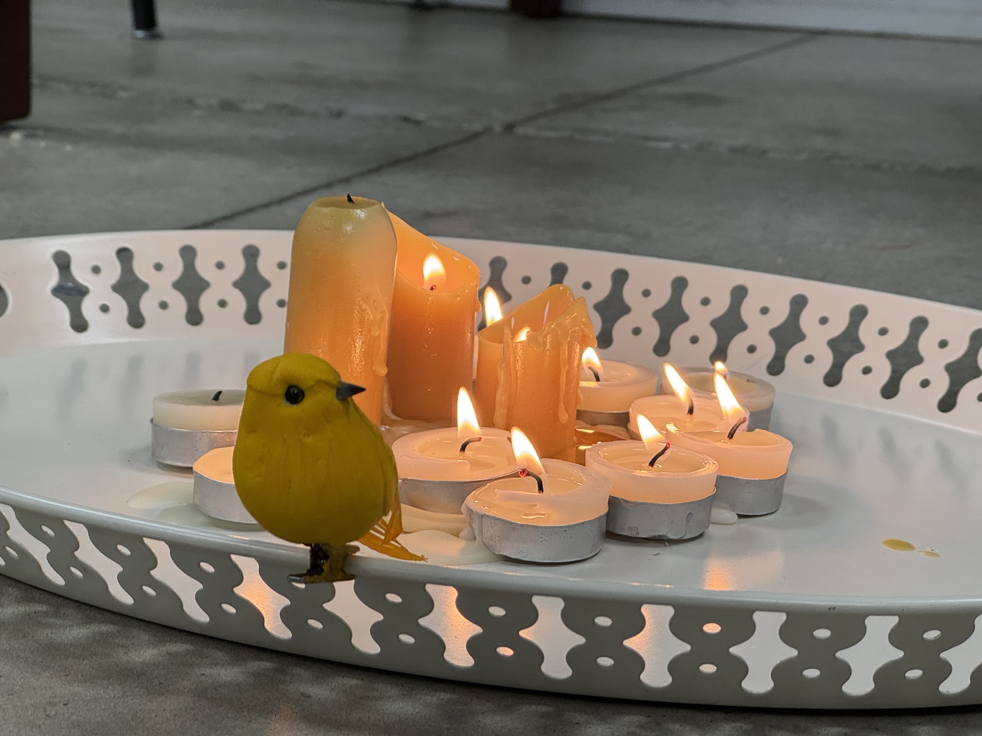 imbolc with people